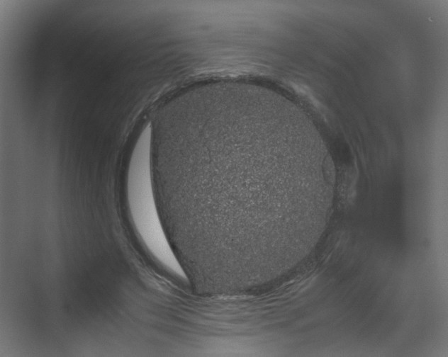 X0000070170495200606021101