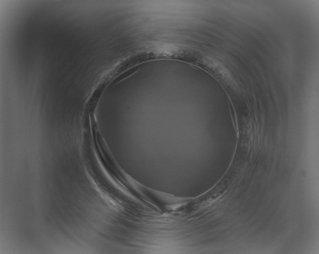 X0000070170496200606021101