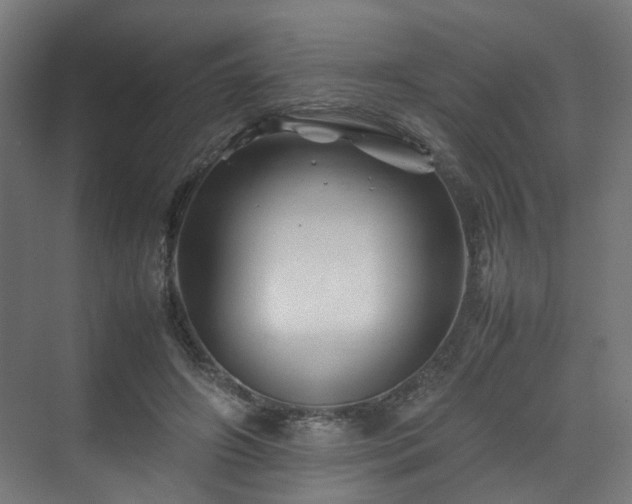 X0000070170498200606021101