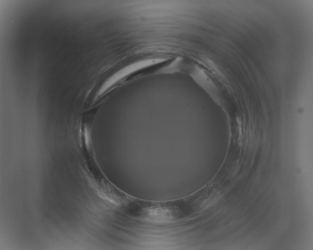 X0000070170500200606021101