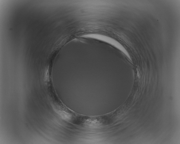 X0000070170502200606021101