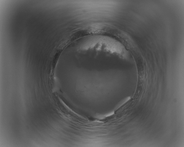 X0000070170503200606021101