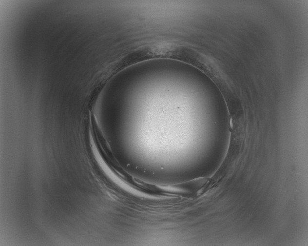 X0000070170505200606021101