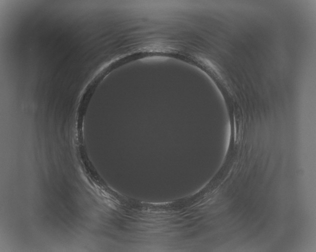 X0000070170531200606021059