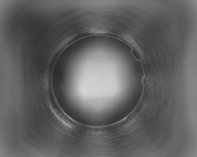 X0000070170533200606021100