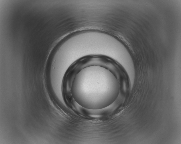 X0000070170536200606021100