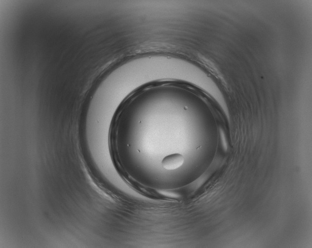 X0000070170538200606021100