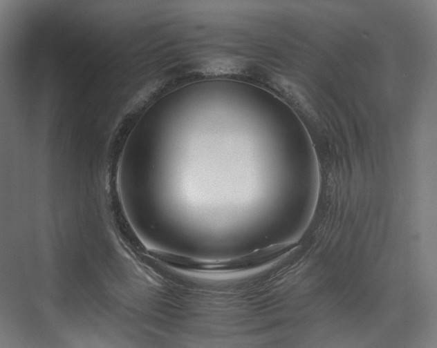 X0000070170539200606021100