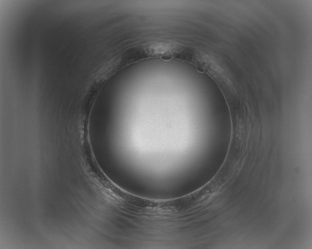 X0000070170545200606021100