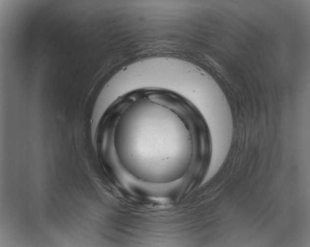 X0000070170552200606021100