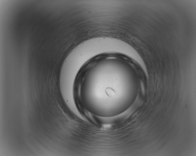 X0000070170560200606021100