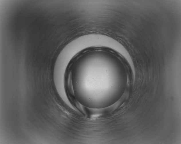X0000070170564200606021100