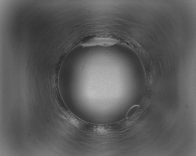X0000070170565200606021100