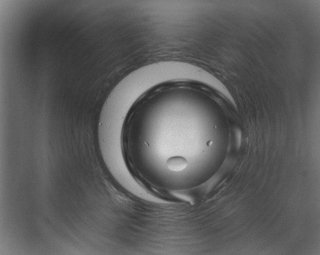X0000070170570200606021100