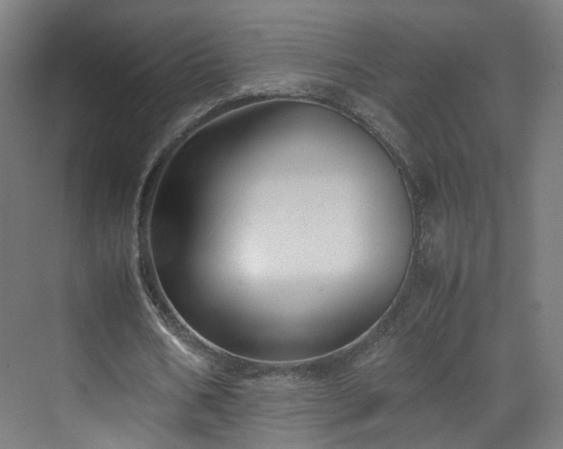 X0000070170578200606021059