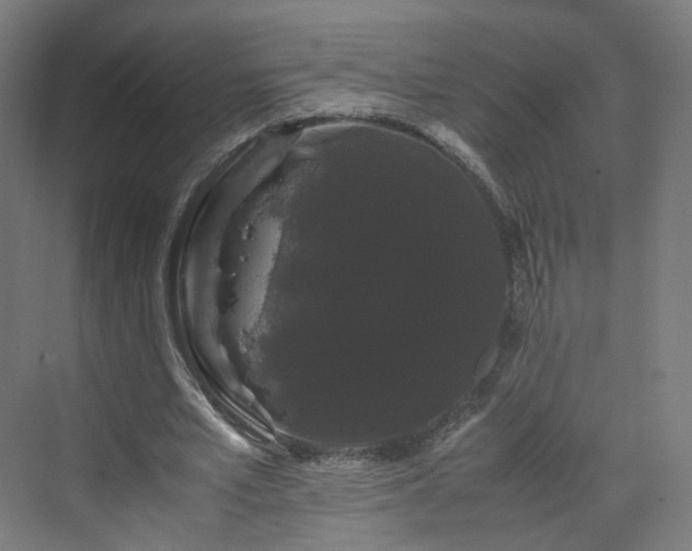 X0000070170581200606021059