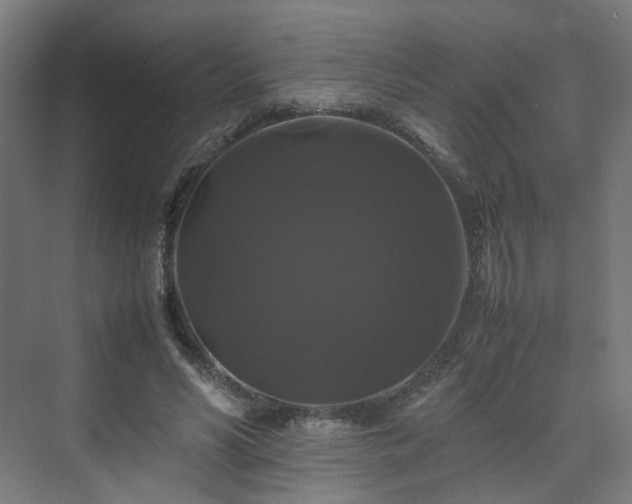 X0000070170590200606021059