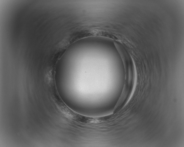 X0000070170611200606021059