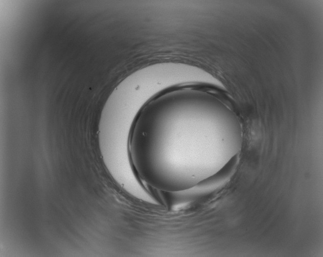 X0000070170619200606021059