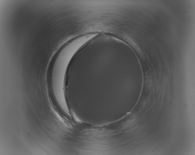 X0000070170626200606021058