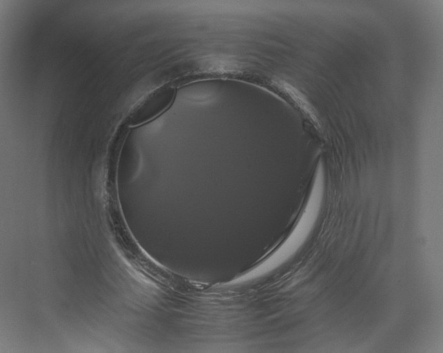 X0000070170627200606021058