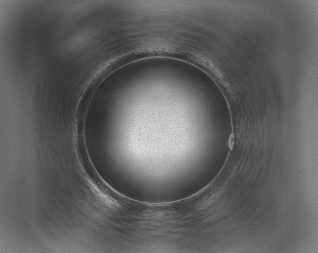 X0000070170629200606021058