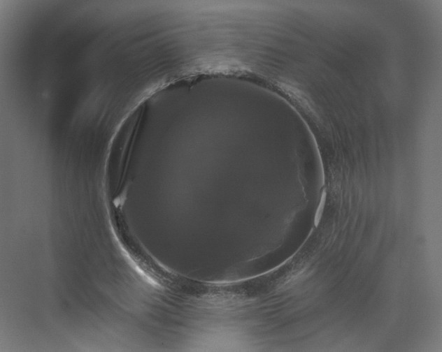 X0000070170630200606021058