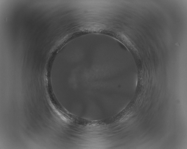 X0000070170634200606021058