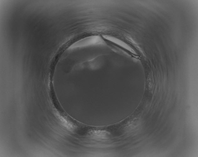 X0000070170637200606021058