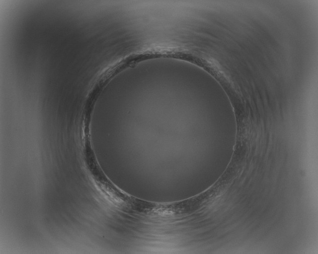 X0000070170640200606021058