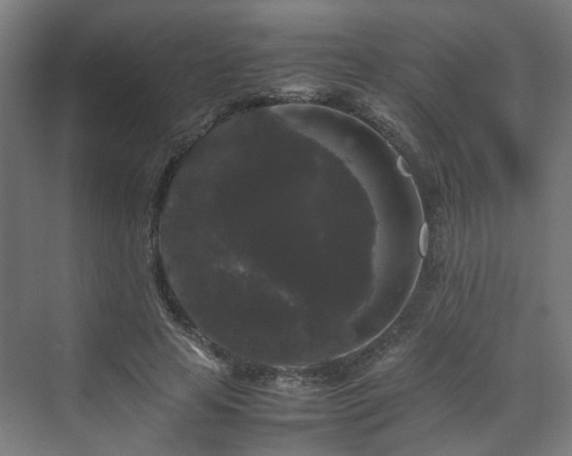X0000070170641200606021058