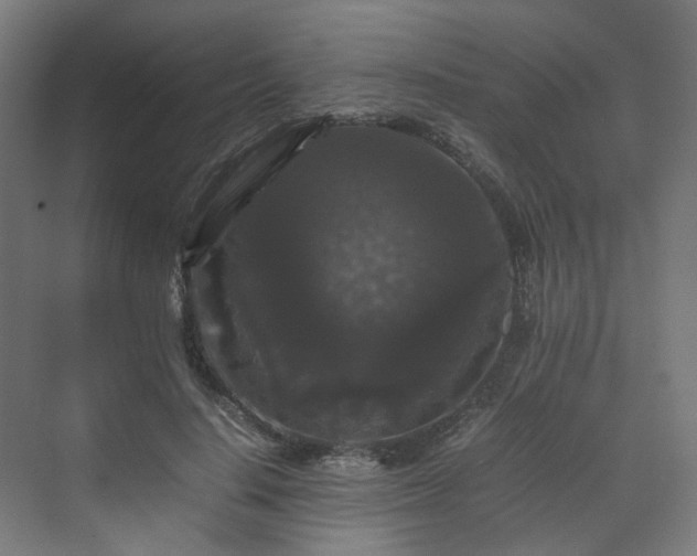 X0000070170644200606021058