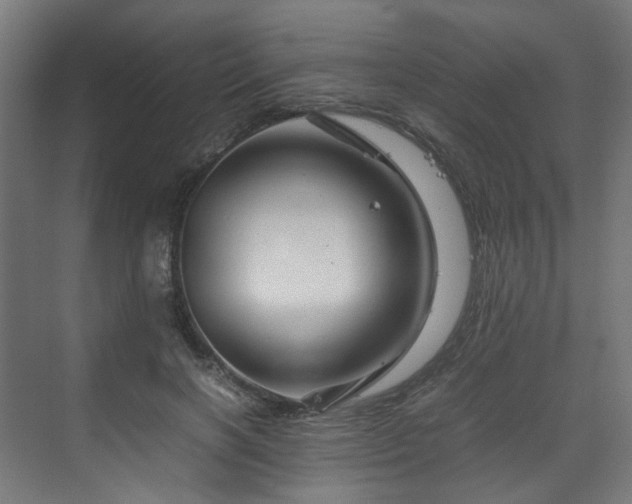 X0000070170646200606021058