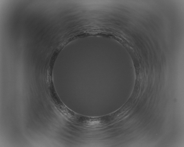 X0000070170651200606021058