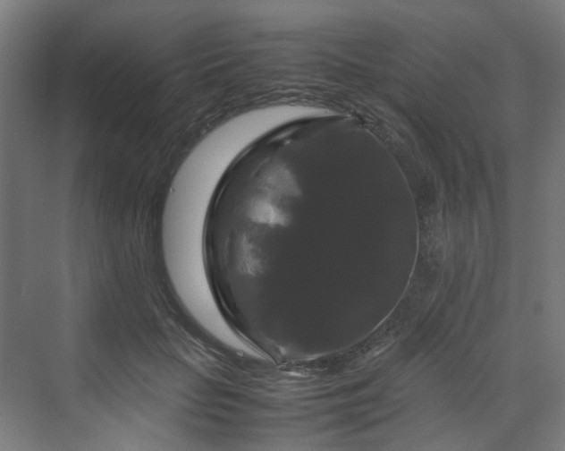 X0000070170653200606021058