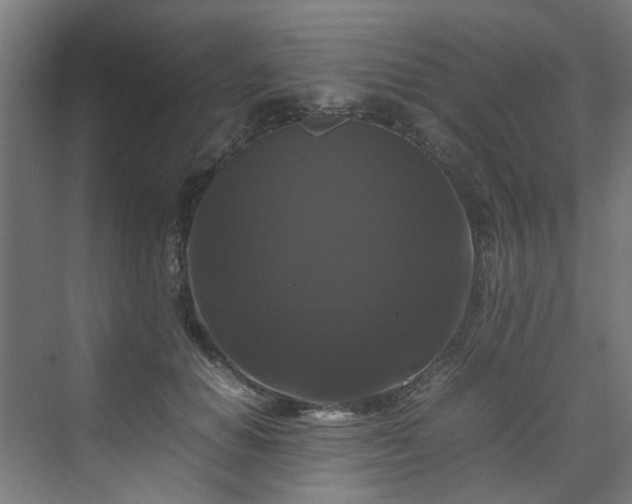 X0000070170654200606021058