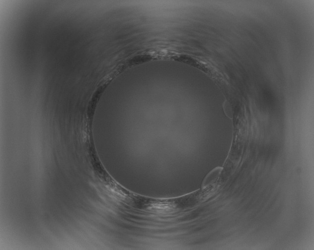 X0000070170659200606021058