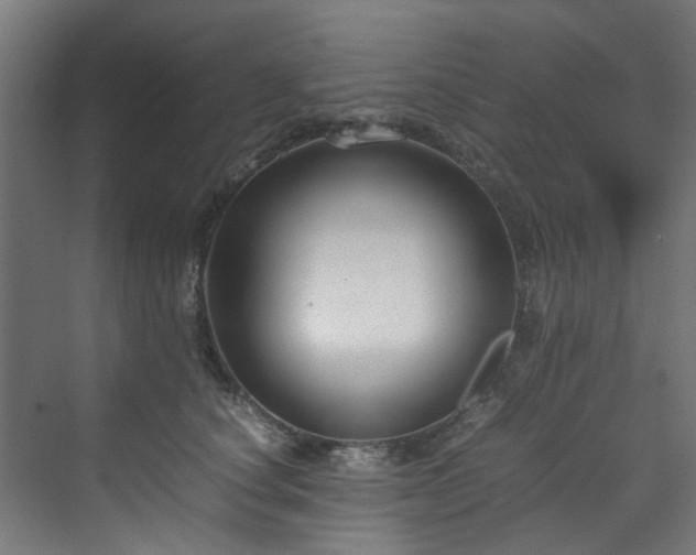 X0000070170660200606021058