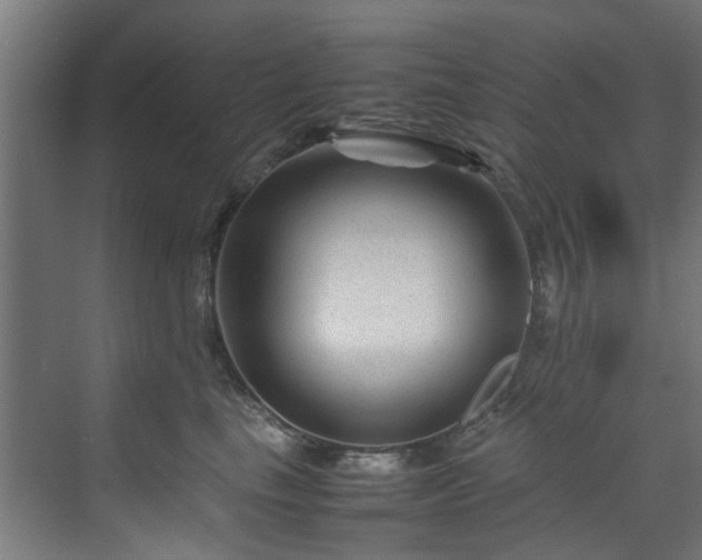 X0000070170665200606021059