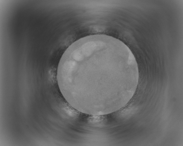 X0000070170672200606021059