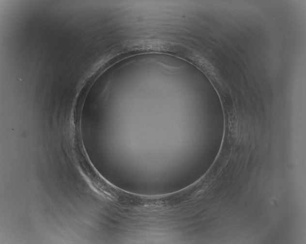 X0000070170674200606021058