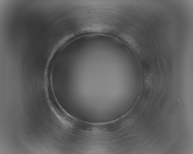 X0000070170678200606021058
