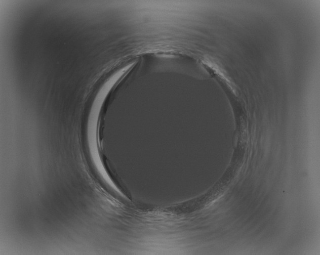 X0000070170681200606021058