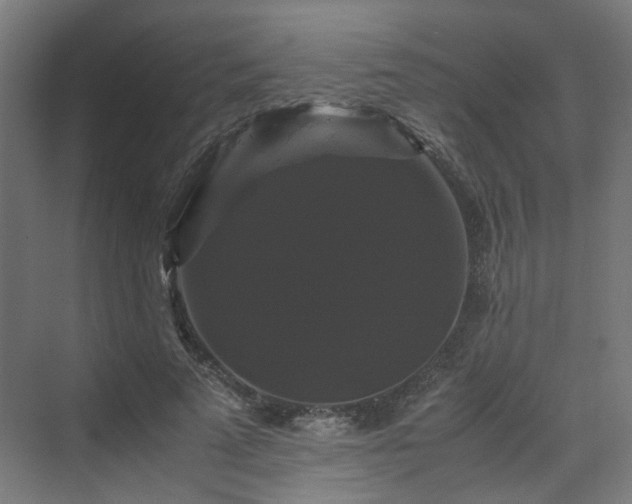 X0000070170689200606021058