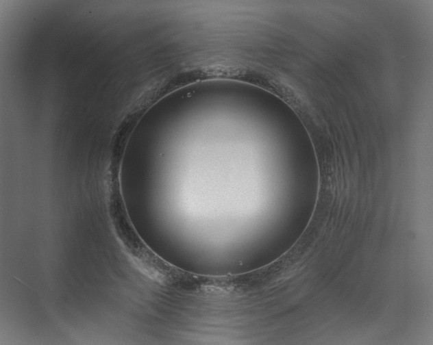 X0000070170690200606021058