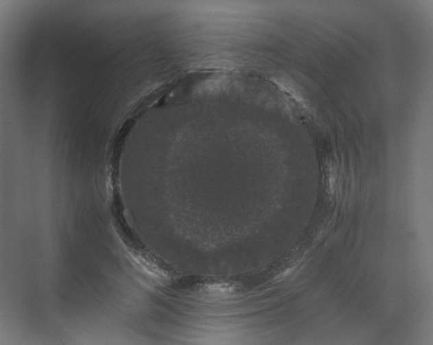 X0000070170692200606021058