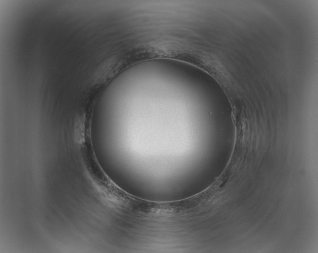 X0000070170694200606021057