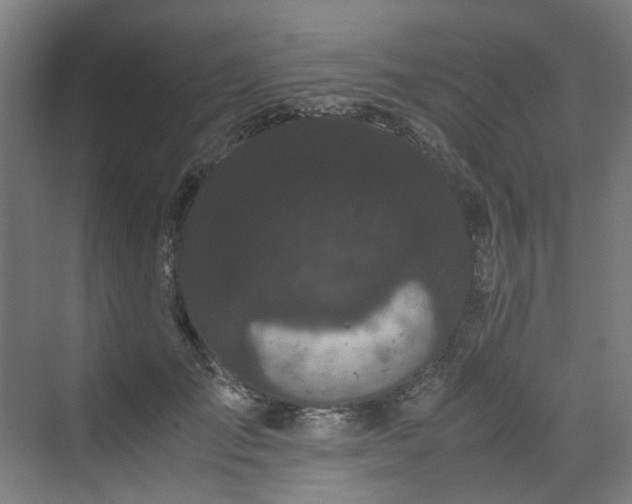 X0000070170701200606021057