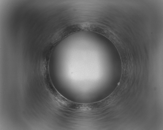 X0000070170702200606021057