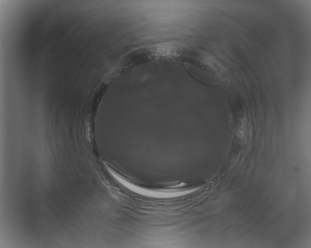 X0000070170715200606021057